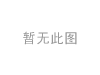 發(fā)動(dòng)機(jī)支架膠墊 Engine Mount:204 240 61 17