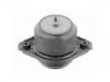 發(fā)動機支架膠墊 Engine Mount:251 240 31 17