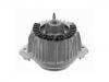 發(fā)動機支架膠墊 Engine Mount:204 240 02 17