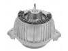 發(fā)動(dòng)機(jī)支架膠墊 Engine Mount:204 240 04 17