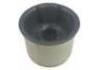 懸架襯套 Suspension Bushing:8J0 407 183