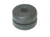平衡桿襯套 Stabilizer Bushing:857 407 473 A