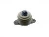 發(fā)動(dòng)機(jī)支架膠墊 Engine Mount:221 240 64 17